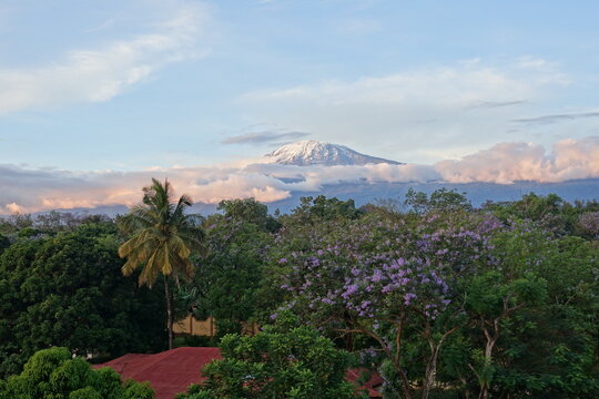 View of Mt Kilimanjaro from Moshi, Tanzania