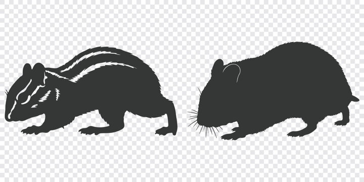 Minimalist black and white vector illustration of two skunks in a flat graphic style, ideal for logos, icons, or decorative designs.