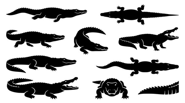 Diverse crocodile silhouette vector set wildlife animal poses illustration collection