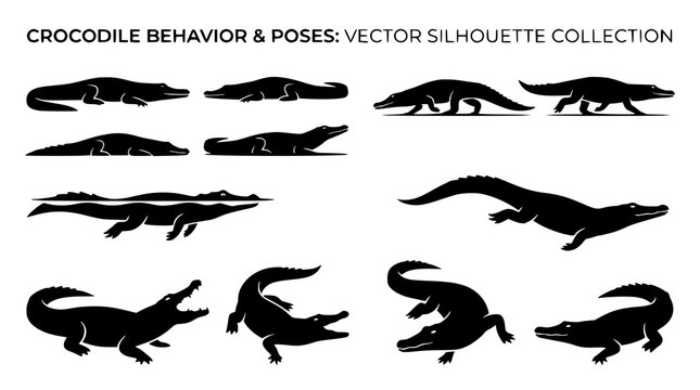 Crocodile action poses silhouette vector set black outline wildlife illustration pack