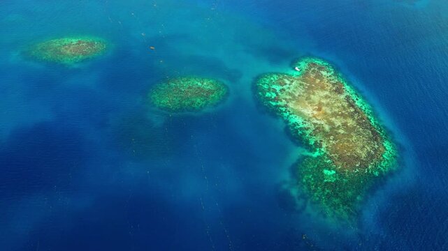 Aerial view of vibrant coral reefs submerged in crystal clear turquoise waters under bright sunlight in Guanaja, Bay Islands Department, Honduras.