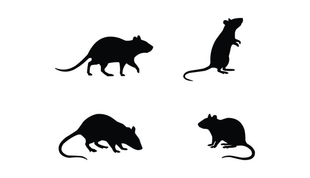 Rat and Mouse Silhouettes Set, Rodents in Various Poses like Standing, Walking, and Sniffing, Pest Control and Wildlife Vector Illustration