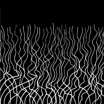 Abstract black and white flowing wavy lines creating a dynamic and organic texture against a stark background