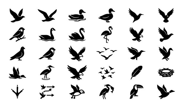Bird and duck silhouette icon set with flying birds marine wildlife and vector nature symbols