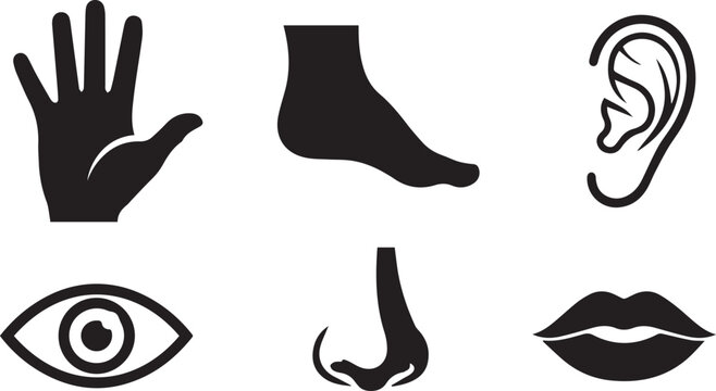 A variety of human sensory organs are illustrated as distinct black silhouettes against a neutral background.