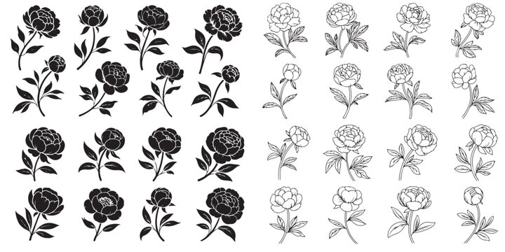 Set of Flower icons. Peony flower with leaves. Peonies hand drawn vector art. silhouette vector illustration