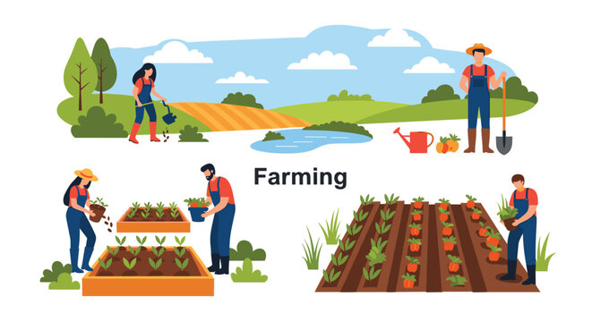Diverse scenes of people engaged in various farming activities like planting seedlings and harvesting fresh vegetables in a rural field.