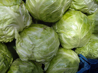 Fototapeta premium Dense pile of fresh green cabbages is shown in a close-up view. The tightly packed leaves and pale green color highlight the crisp texture of this healthy, organic harvest found at a local market