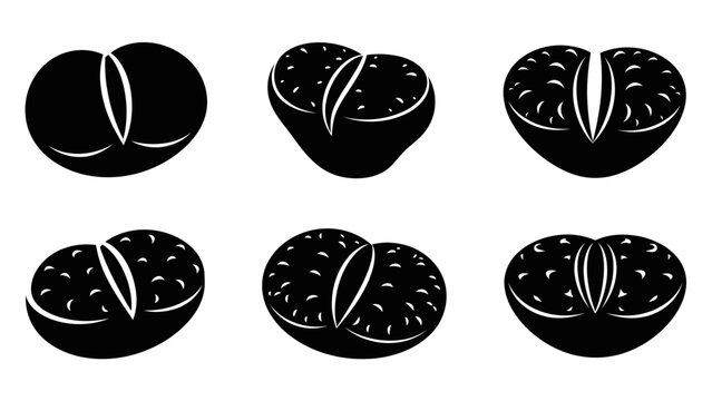 Lithops Plant Icons Set, Living Stones Silhouette Collection