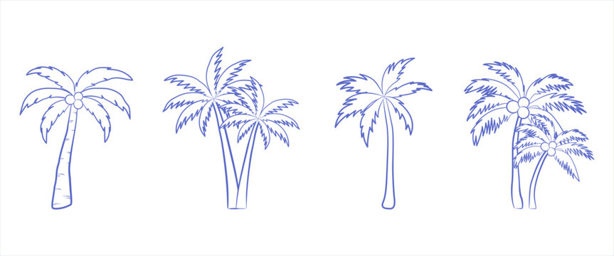 Blue ink line art sketches of tropical palm trees with coconuts