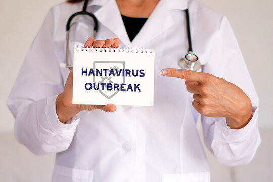 Hantavirus outbreak, healthcare professional pointing to the message in his medical notebook