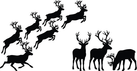Black reindeer silhouette set with jumping deer, standing stags, grazing caribou, and flying christmas reindeer icons isolated on white background. © SreeMoti