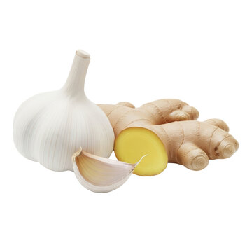Fresh garlic bulb with clove and ginger root isolated on transparent