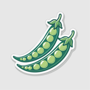 Two Green Pea Pods with Peas