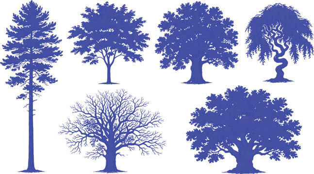 Set of detailed blue tree silhouettes and botanical illustrations including pine oak willow and bare winter branches for landscape design