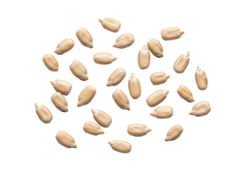 Obraz premium Raw, peeled light beige sunflower seeds, irregular shapes, scattered on a transparent background with copy space, bright studio light, purity and healthy eating concept