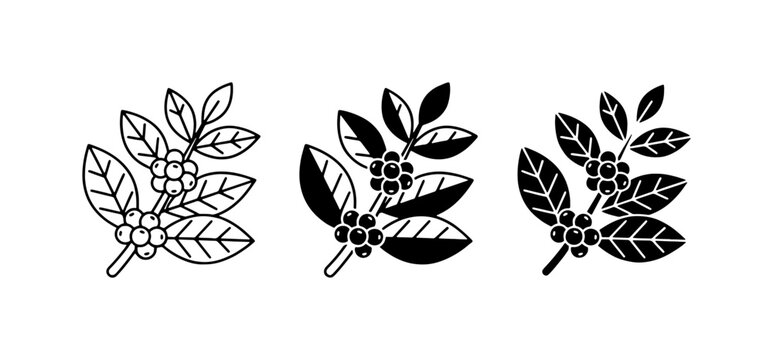 Coffee Branch Icons, Bean Plant Illustrations, and Leaf Vector Graphics for Beverage and Agriculture Themes