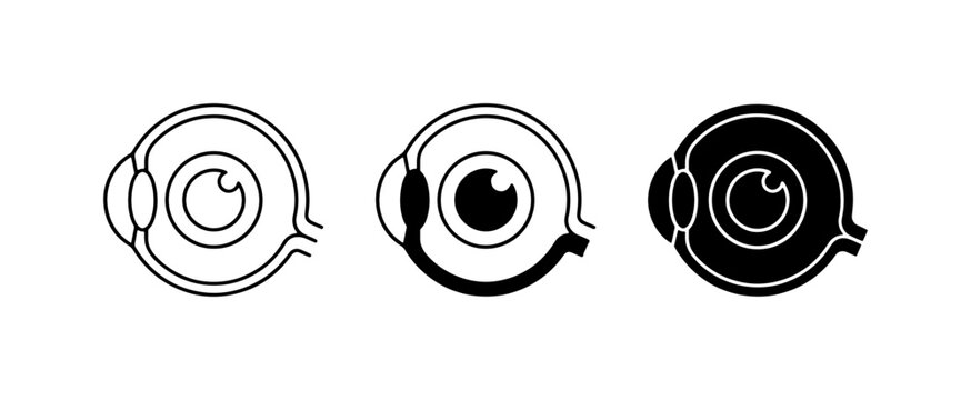 Eye Anatomy Icons, Medical Vision Symbols, Ocular Health Graphics - Set of 3