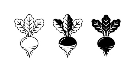 Fototapeta premium Beetroot Icon Set, Root Vegetable Vector Graphics, Organic Food Illustrations, Healthy Eating Symbols