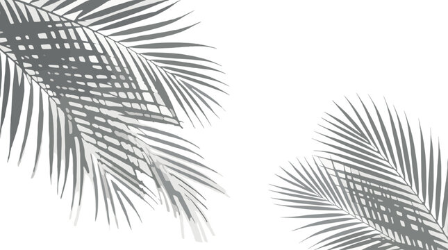Minimalist Grey Palm Leaf Shadow Overlay Background with Tropical Foliage Silhouettes for Summer Branding Product Display Mockups and Elegant Botanical Interior Design Aesthetics