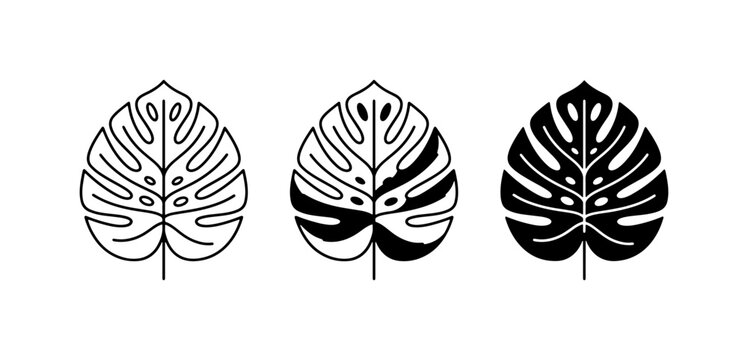Monstera Leaf Icons, Tropical Plant Vector Graphics, Swiss Cheese Plant Silhouette, Botanical Line Art, Nature Elements Set