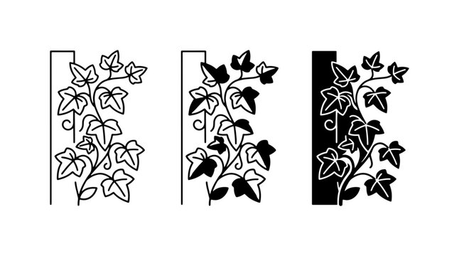 Elegant Ivy Leaf Vector Designs, Botanical Decorative Elements, Vintage Floral Ornaments, Black and White Nature Motifs