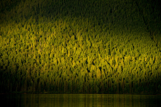 Canada, BC, Bowron Lake Provincial Park.  Afternoon light catches the trees on the side of Isaac Lake.  Bowron Lakes, on the western slopes of the Cariboo Mountains is a popular canoe circuit.