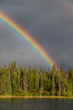 Canada, BC, Bowron Lake Provincial Park. Rainbow over Rum Lake.  Bowron Lakes is a large wilderness area on the western slopes of the Cariboo Mountain Range and a famous canoe circuit.