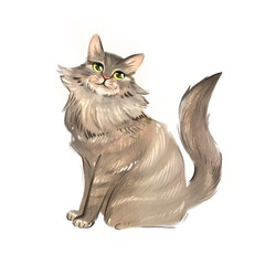 Hand drawn painting, fluffy gray cat illustration isolated on white background, cute longhair pet portrait, cozy animal art, feline charm, pastel pet character clipart © Veronika Schrigen
