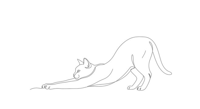 Cat stretching, elegant line art illustration on white background