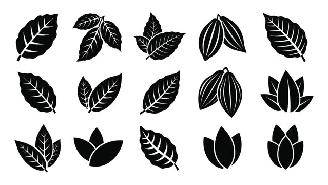 leaf icon silhouette vector illustration design