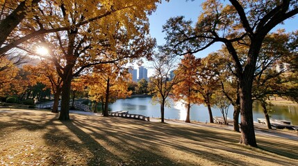 Fototapeta premium Vibrant Autumn Foliage Illuminates Lakeside Park Scene with City Skyline and Long Shadows