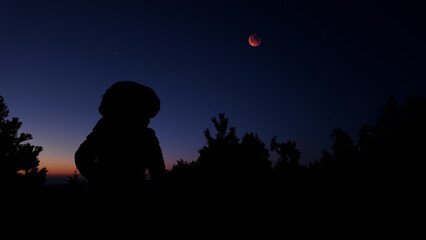 Fototapeta premium Amateur astronomer observing stars, planets, Moon and other celestial objects.