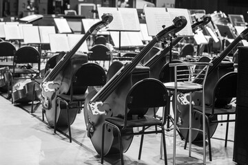 Symphony orchestra instruments on stage in black and white  © furtseff