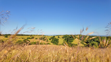 Naklejka premium Tranquil sunny summer landscape with green fields and hills in south-eastern Europe, Serbia.