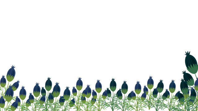 A vibrant border of thistle flowers and green leaves on isolated with blue thistle buds