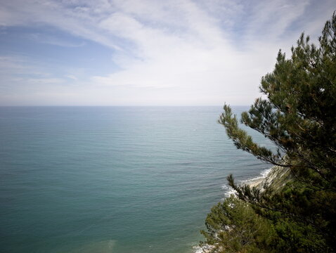 Veduta panoramica sul mare Adriatico dalle falesie del Parco del Cardeto ad Ancona, con un pino marittimo in primo piano sulla destra