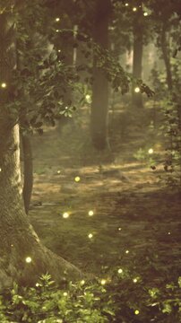 A serene forest scene comes alive with glowing fireflies flitting around majestic trees. The soft light creates a dreamlike atmosphere in the fading daylight, inviting wonder.