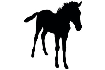 A black horse silhouette vector illustration of a wild mustang stallion running in a gallop with a flowing mane and tail for nature design © VECTOR  STOCK