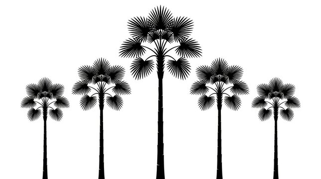 silhouette of seven palm trees against clear sky at dusk minimalist composition