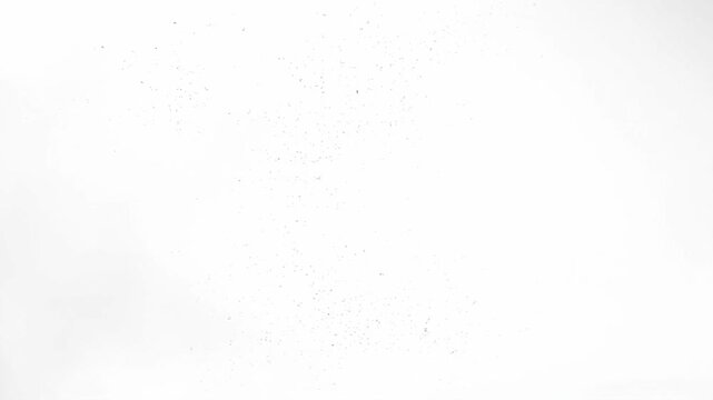 An abstract image presenting a soft, white texture reminiscent of clouds or smoke. The delicate, blurred appearance creates a sense of airiness, openness, and calm