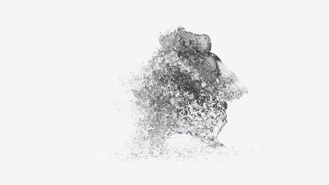 character Water Splash,  With Alpha Channel