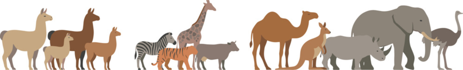 Wild and Domestic Animal Silhouette Collection Vector Illustration Featuring Camel Elephant Zebra Giraffe Kangaroo and Alpaca Isolated on White © Lota
