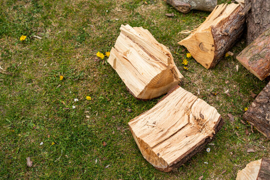 Freshly cut wooden logs resting on green grass in an outdoor setting, ideal for themes of nature, sustainability, and outdoor living.