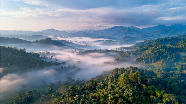 Aerial view of lush green hills and dense forest valleys covered by morning mist with distant mountains under a bright blue sky filled with soft clouds