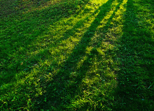Diagonal dramatic light ray on green lawn backdrop