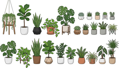 Large Indoor Houseplant Vector Collection Featuring Monstera Fiddle Leaf Fig Snake Plant and Succulents in Decorative Pots for Interior Design Gardening and Home Decor Projects © Himu 