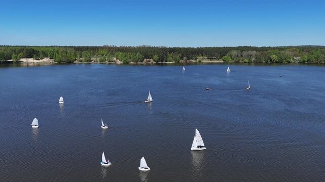 Wide aerial drone shot of a lake with numerous white Optimist sailboats participating in a regatta, calm dark water, dense green forest on the shore, clear blue sky, sunny daylight.