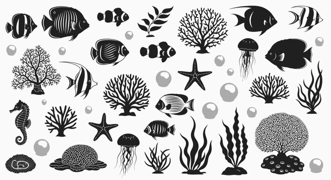 Collection of marine life illustrations including coral, fish, seahorses, and starfish