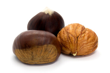 Fototapeta premium Three chestnut edible isolated on white background